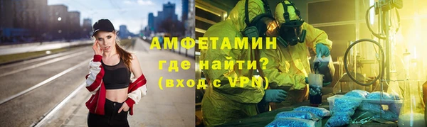 индика Калининец