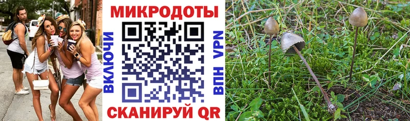 продажа наркотиков  Беломорск  omg сайт  Галлюциногенные грибы мицелий 